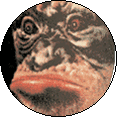 digpog_monkeyface