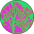 digpog_tree_outline