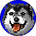 digpoghusky